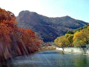 新澳天天开奖资料大全旅游团，永生 纵横